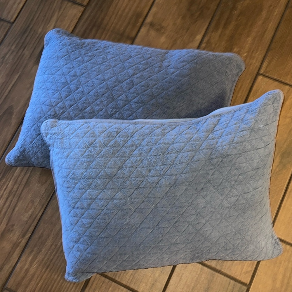 2 Koolaburra pillows by ugg large